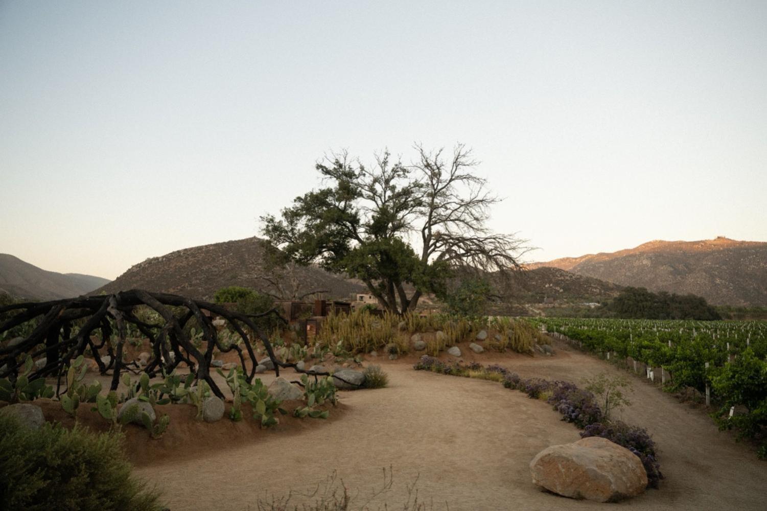 Bruma Wine Resort Valle de Guadalupe Exterior foto